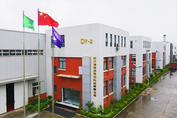 汤滕滕 以技术服务和软件开发为核心的四川软件新锐企业探析