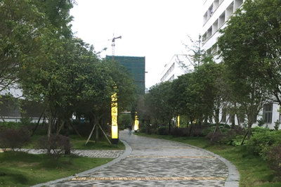 四川理工技师学院计算机网络应用专业包分配吗？软件开发方向就业解析